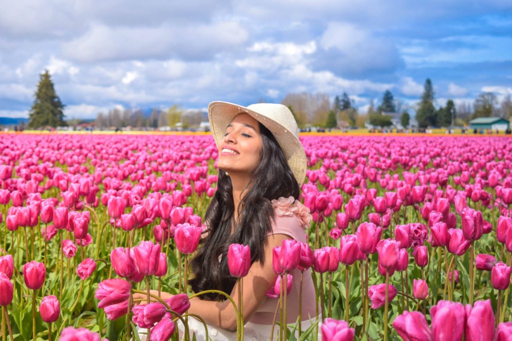 A postcard from Seattle – Skagit Valley tulip festival and cherry ...